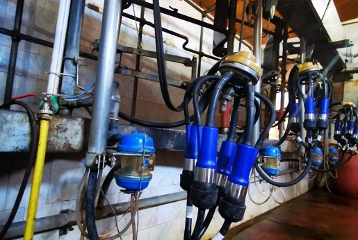 IP10U háromszög kialakítású kehelygumi