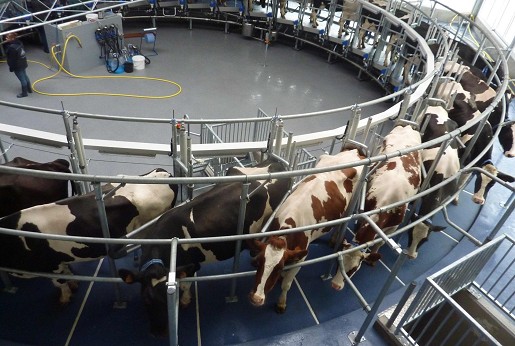 Roto platform működése