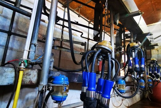 IP10U trouglaste sisne gume