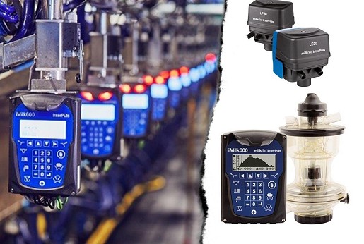 Nova generacija izmuzišta za krave