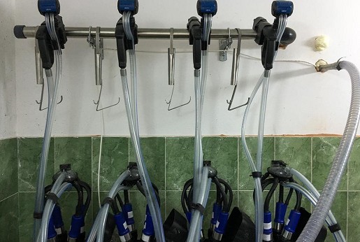 Gornji mlekovod sa 4 muzne jedinice za mužu 40 grla