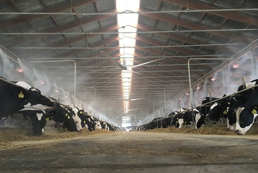 Klimatizacija štala