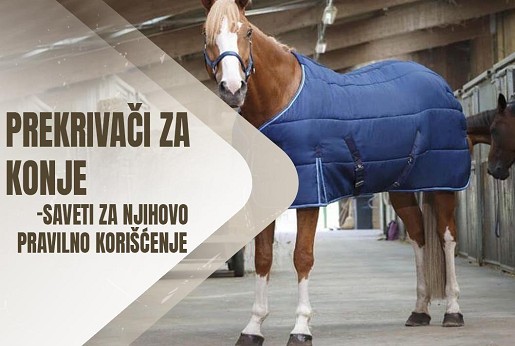 Prekrivači za konje – saveti za njihovo pravilno korišćenje