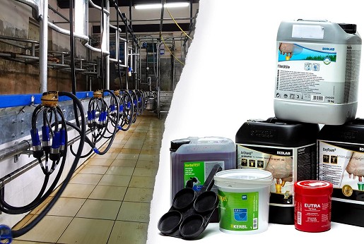 Prevencijom infektivnih bolesti do profitabilne farme mleka