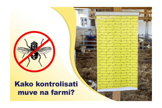 Kako kontrolisati muve na farmi?