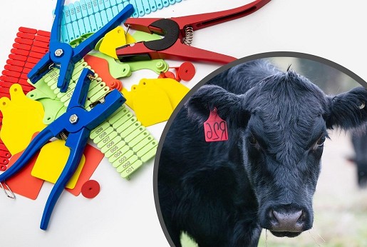 Ušne markice za obeležavanje životinja