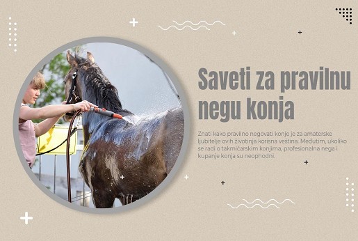 Saveti za pravilnu negu konja