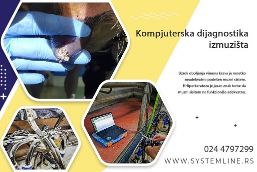 Kompjuterska dijagnostika izmuzišta