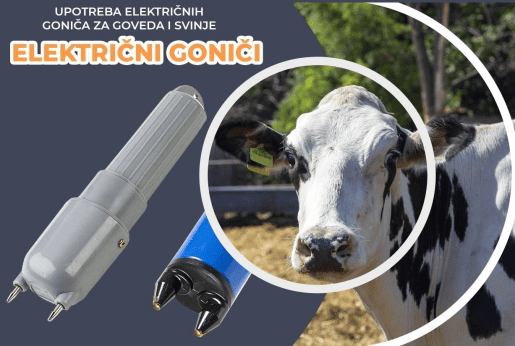 Upotreba električnih goniča za goveda i svinje
