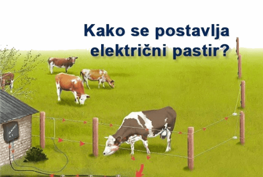 Kako se postavlja električni pastir?