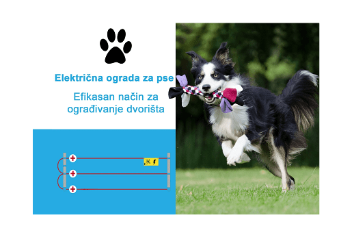 Električna ograda za pse: Efikasan način za ograđivanje dvorišta