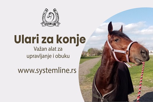 Ulari za konje – važan alat za upravljanje i obuku