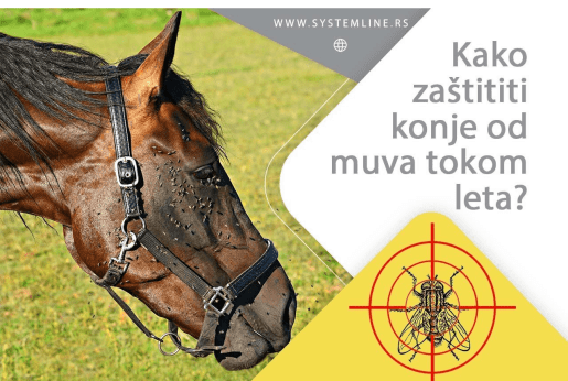 Kako zaštititi konje od muva tokom leta?
