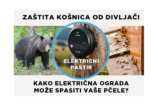 Zaštita košnica od divljači: Kako električna ograda može spasiti vaše pčele?