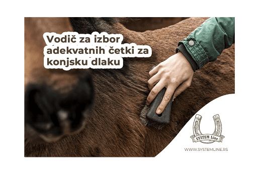 Vodič za izbor adekvatnih četki za konjsku dlaku