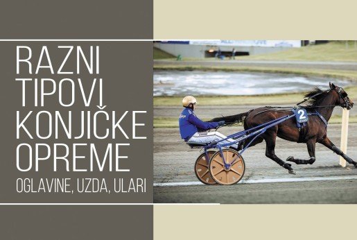 Razni tipovi konjičke opreme: oglavine, uzda, ulari