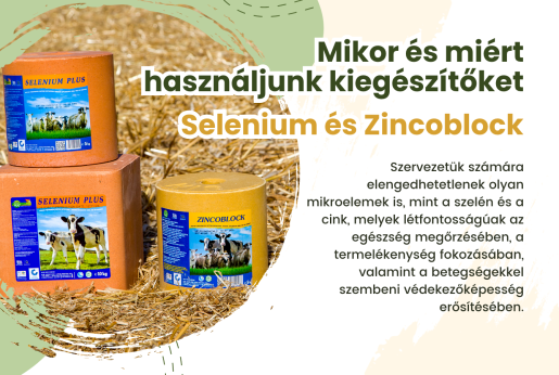 Mikor és miért használjunk kiegészítőket – Selenium és Zincoblock