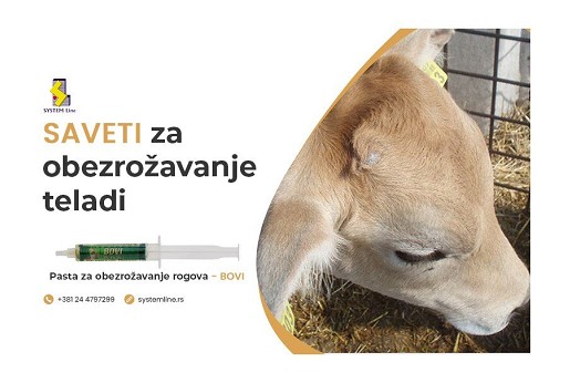 Saveti za obezrožavanje teladi
