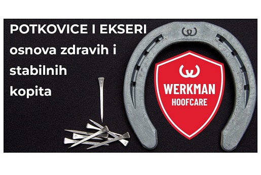 Potkovice i ekseri – osnova zdravih i stabilnih kopita