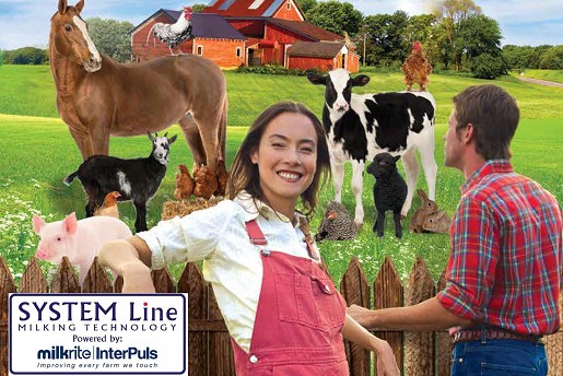 Katalog System Line 2017