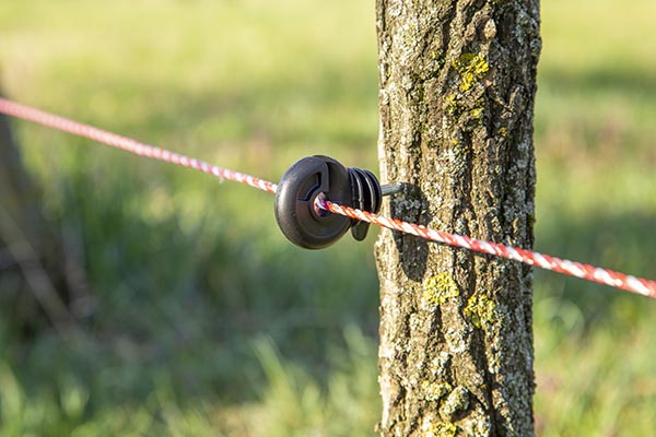 Električne čobanice - prednosti električnih ograda