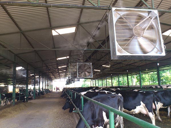 evaporativno hladjenje