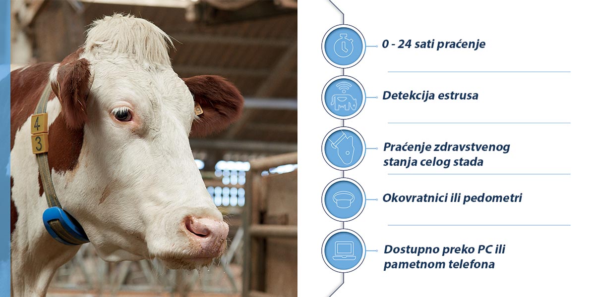 Modernizacija izmuzišta