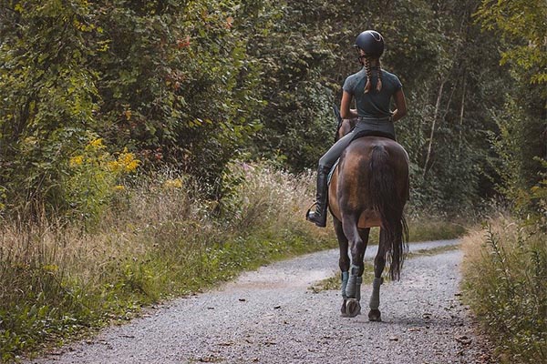 Istražite lepote prirode: uzbudljivost terenskog jahanja
