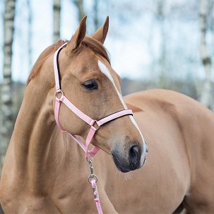 Ular za konje pony pink Horze