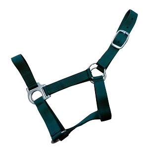 Ular za konje zeleni sa jednom kopčom ždrebe