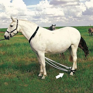 Kaiš za vezivanje nogu konja