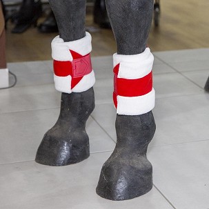 Újévi piros bandázs szalag lovaknak