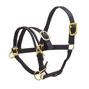 Ular za konje sa duplim kaišem crni Cob