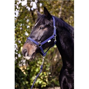 Ular za konje classic plavi 2