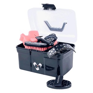 Komplet kutija sa četkama Lucky