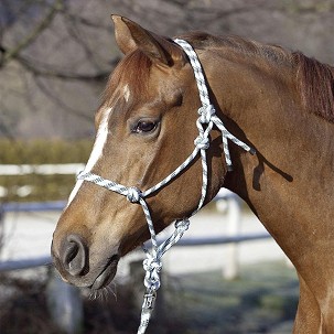 Ular za konje pleteni sivi 3 full