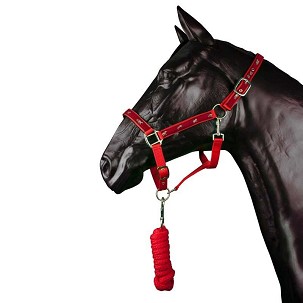 Ular za konje crveni sa užetom Cob