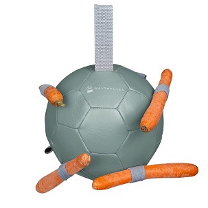 Lopta za konje šargarepa 18cm