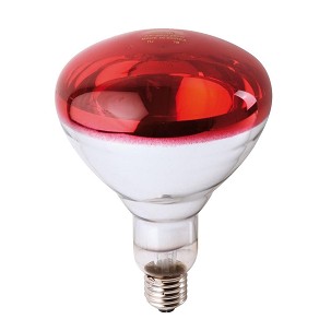 Sijalica infracrvena 150W Philips