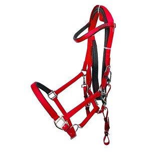 Uzde sa dizginima za daljinsko jahanje