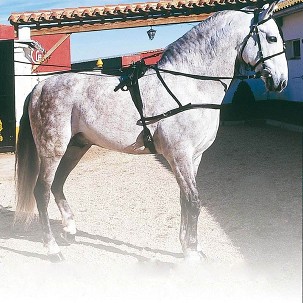 Komplet kasački am crni od gurtne