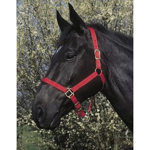 Ular za konje crveni 3full Riding World