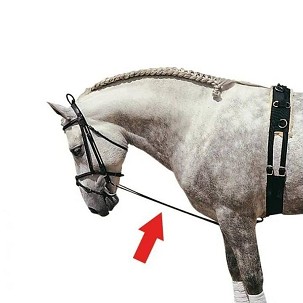 Elasztikus lekötőszár lovagláshoz 150cm