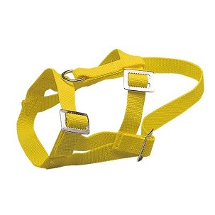 Ular za ovce i ovnove žuti