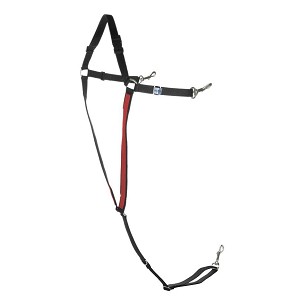 Mali am Y tamno crveno-crni Finntack