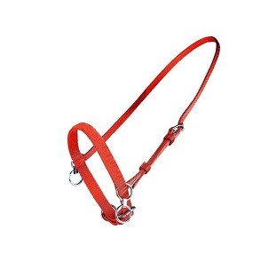 Mali ular za glavu sa karikom crveni Cob Finntack