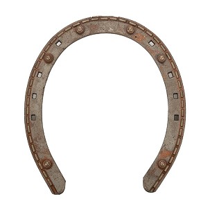 Potkovice za konje 15x4 sa 6 vidija 4mm gold 2 prednja