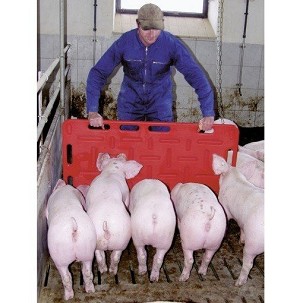 Ploča za teranje svinja 120x76cm crvena