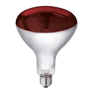 Sijalica infracrvena 250W