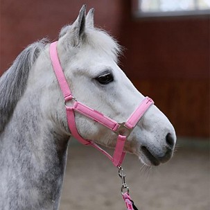 Ular za konje Lilli Rozi 1 pony